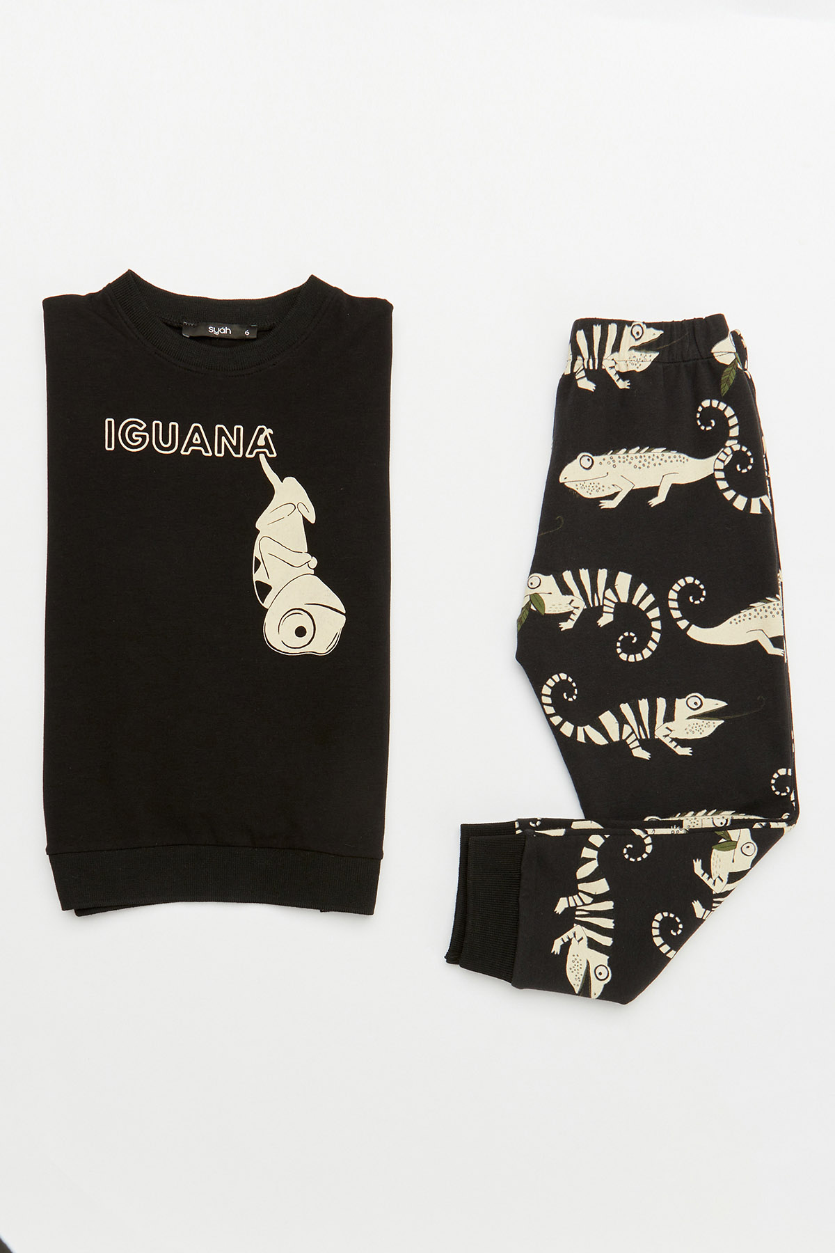 Erkek Çocuk Uzun Pijama Takımı