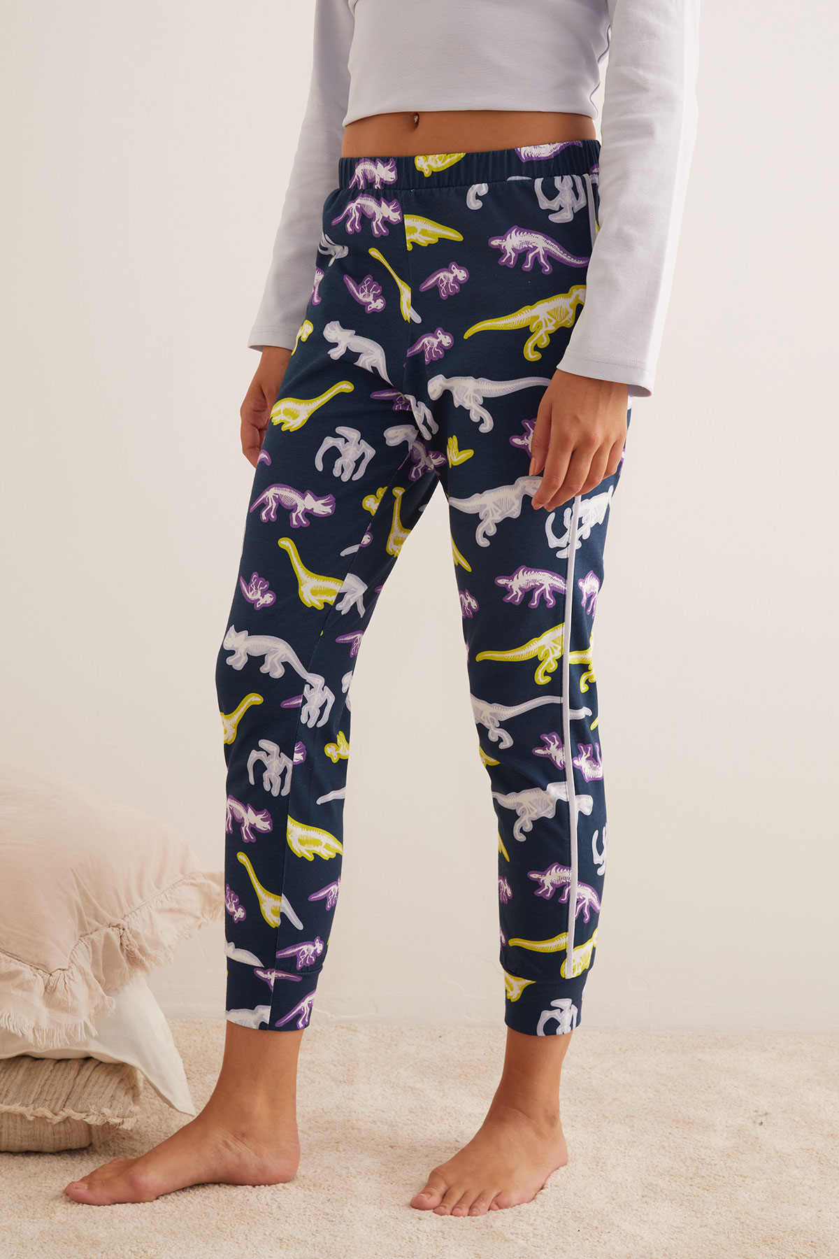 Kadın Pamuklu Dinozor Baskılı Uzun Kollu Pijama Takımı