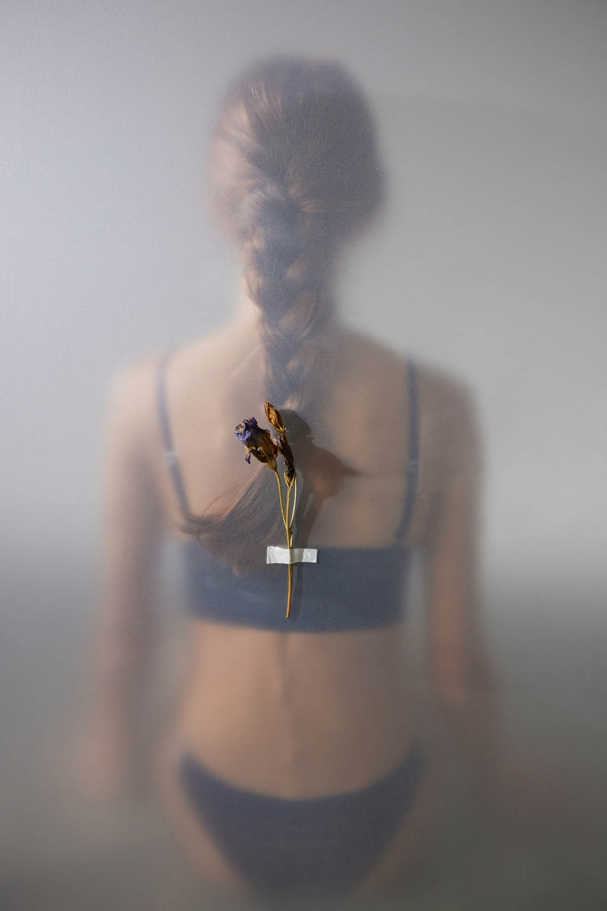 Kadın Çizgili Tül Balensiz Bralet