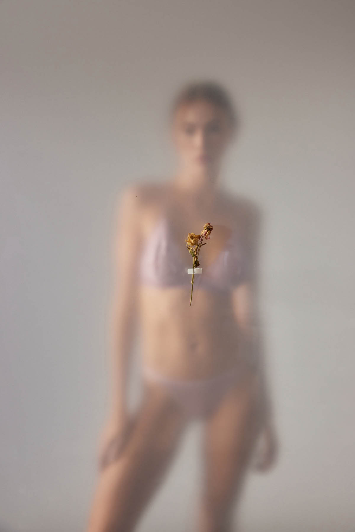 Kadın Dantelli Balensiz Üçgen Sütyen